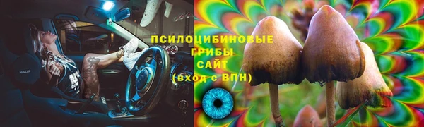 таблы Армянск