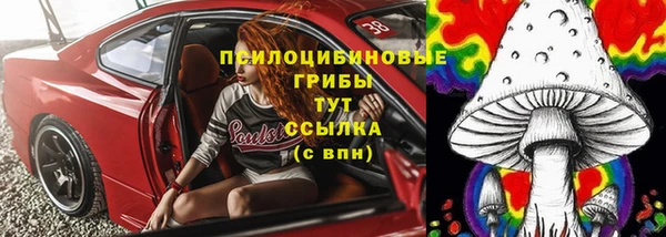 дмт Арсеньев